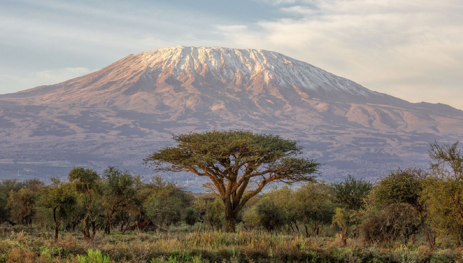 Mount-Kilimanjaro-NP